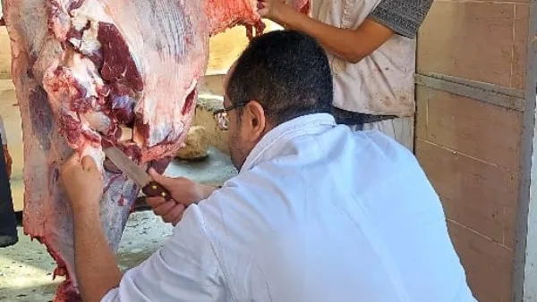 ذبح 2202 أضحية للمواطنين في مجازر الجيزة خلال اليومين الأولين من عيد الأضحى ذبح 2202 أضحية للمواطنين في مجازر الجيزة خلال اليومين الأولين من عيد الأضحى