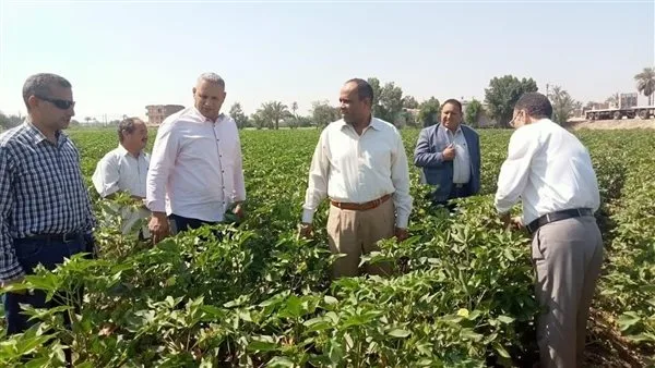 في اليوم الثاني للعيد.. “الزراعة” تراقب الأنشطة الزراعية وأعمال الجمعيات في الفيوم وبني سويف في اليوم الثاني للعيد.. “الزراعة” تراقب الأنشطة الزراعية وأعمال الجمعيات في الفيوم وبني سويف