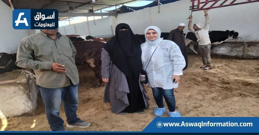 وزارة الزراعة تفقد محلات الأضاحي وأسواق اللحوم للتأكد من جودتها وزارة الزراعة تفقد محلات الأضاحي وأسواق اللحوم للتأكد من جودتها