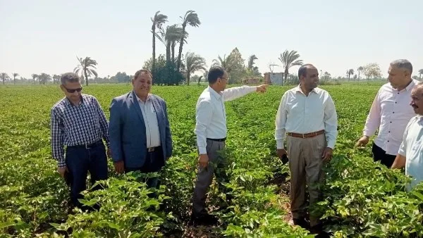 الزراعة تنظم 6400 ورشة توجيهية بيطرية في شهر مايو الزراعة تنظم 6400 ورشة توجيهية بيطرية في شهر مايو