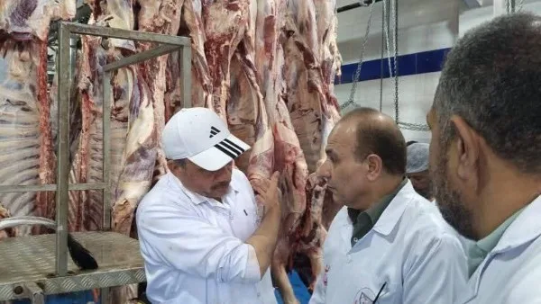 البيطري الشرقية يختتم ذبح 1129 أضحية مجاناً في اليوم الأول من عيد الأضحى البيطري الشرقية يختتم ذبح 1129 أضحية مجاناً في اليوم الأول من عيد الأضحى
