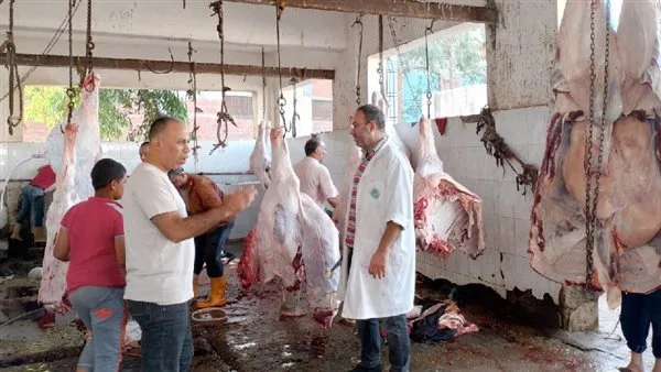المنيا تواصل تقديم خدمات ذبح الأضاحي بدون تكلفة في 39 مجزرة خلال اليوم الثاني للعيد المنيا تواصل تقديم خدمات ذبح الأضاحي بدون تكلفة في 39 مجزرة خلال اليوم الثاني للعيد
