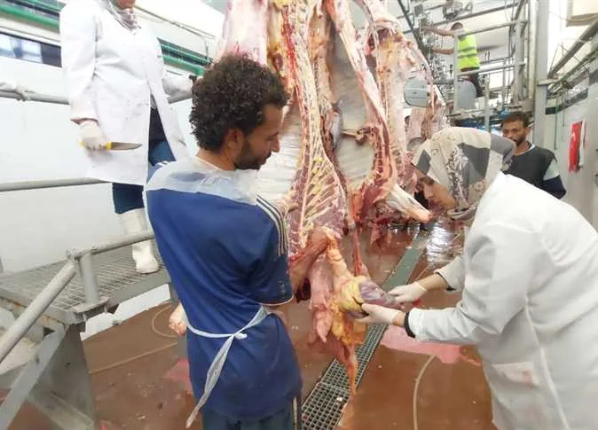تواصل العمل في مجازر البحر الأحمر في اليوم الثاني من عيد الأضحى
