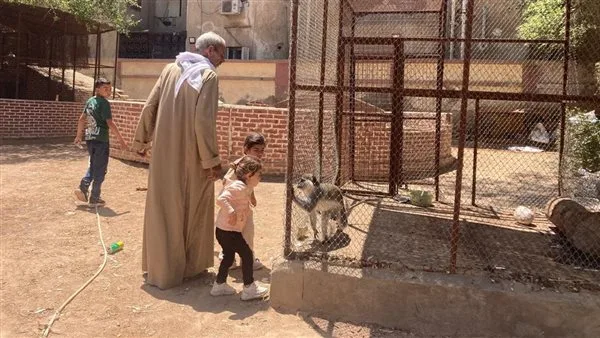 الفيوم تشهد احتفالاً بميلاد “نسناس” جديد في حديقة الحيوان خلال اليوم الثاني من العيد (فيديو) الفيوم تشهد احتفالاً بميلاد “نسناس” جديد في حديقة الحيوان خلال اليوم الثاني من العيد (فيديو)