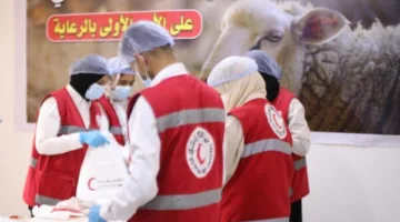الهلال الأحمر المصري يقوم بتوزيع أضاحي العيد على الأسر المحتاجة.