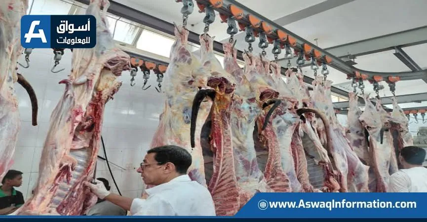 ذُبِحَت أكثر من 20 ألف أضحية في المجازر الحكومية بدون تكلفة خلال اليومين الأولين من العيد.