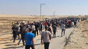 غزة تُعاني جغرافياً.. 18% فقط بعيداً عن «نار الإخلاء»