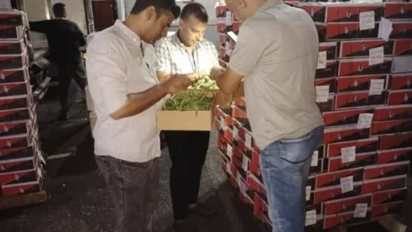 وزارة الزراعة تؤكد استمرار حركة الصادرات والواردات في المنافذ الجمركية خلال فترة العيد