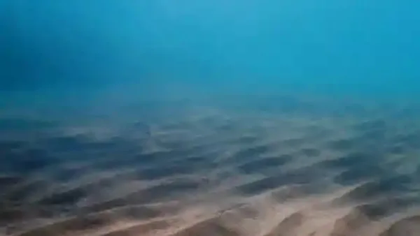 اكتشاف مدينة أثرية غارقة في أعماق البحر.. ماذا عثروا فيها؟ اكتشاف مدينة أثرية غارقة في أعماق البحر.. ماذا عثروا فيها؟