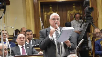 نائب برلماني: دعم الصناعات يعد هدفًا استراتيجيًا للحكومة في المرحلة المقبلة