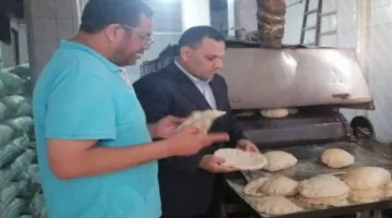 مراقبة تموين الإسكندرية: تحرير 14 محضراً ضد المخالفات في اليوم الثاني لعيد الأضحى