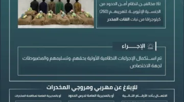 إلقاء القبض على ستة مهربين بحوزتهم 260 كجم من القات في الدائر