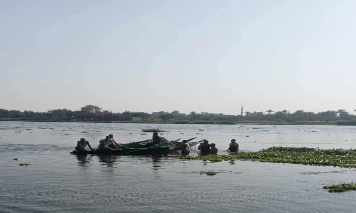 استخراج جثمان طفل غرق في ترعة الباجوري بمحافظة المنوفية استخراج جثمان طفل غرق في ترعة الباجوري بمحافظة المنوفية