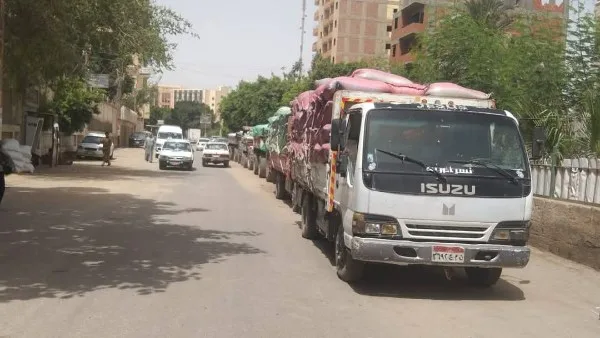 محافظ المنيا: تسليم 502 ألف طن من القمح