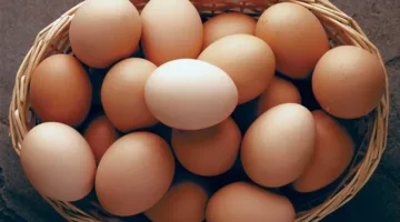 فوائد عديدة لتناول البيض بشكل يومي