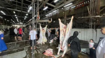غرامة تصل إلى 10 آلاف جنيه.. محافظة القاهرة تحذر من ذبح الأضاحي في الشوارع