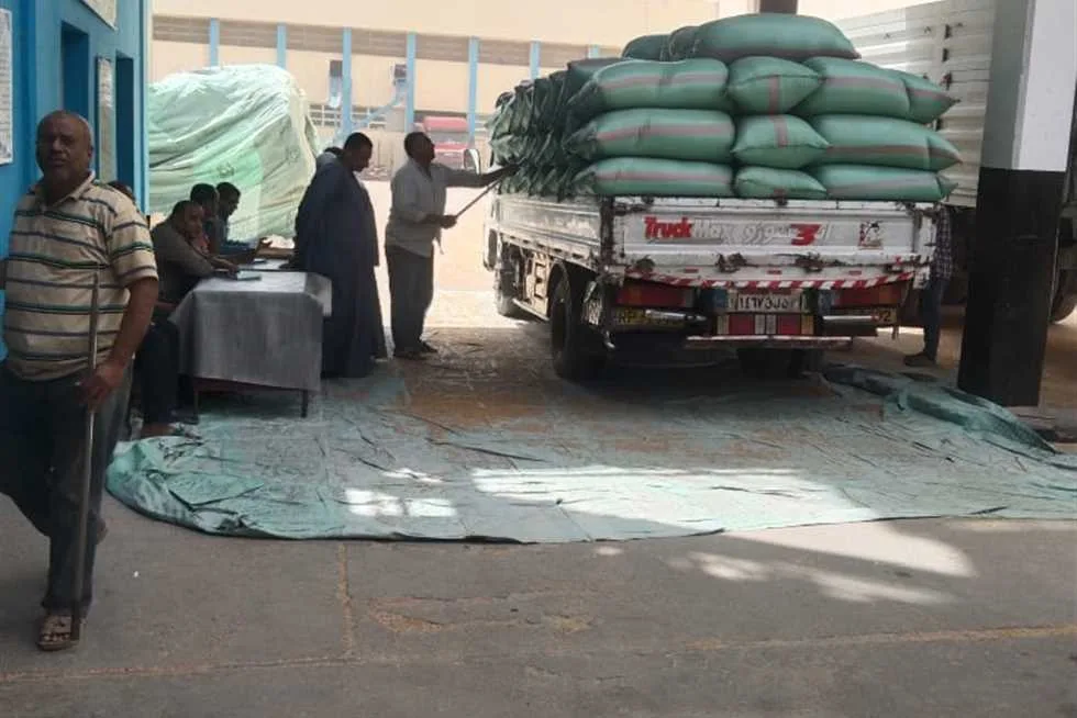 محافظ المنيا: استئناف عمليات توريد القمح مع وصول 502 ألف طن من المحصول الاستراتيجي محافظ المنيا: استئناف عمليات توريد القمح مع وصول 502 ألف طن من المحصول الاستراتيجي