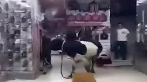 فيديوهات العجول الفارة: عجل يتسلل إلى متجر للأحذية في الإسكندرية