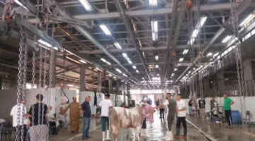 وزارة الزراعة: ذبح أكثر من 20 ألف أضحية في المجازر الحكومية خلال اليومين الأولين من عيد الأضحى المبارك