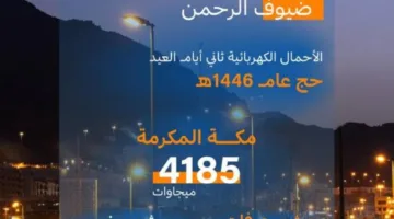 السعودية للكهرباء: تسجيل أحمال تصل إلى 358 ميجاوات في مشعر منى خلال اليوم الثاني من عيد الأضحى
