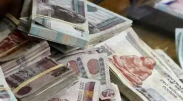 إذا كانت لديك 100 ألف جنيه، اكتشف العائد المتوقع عند استثمارها في شهادة إدخار.