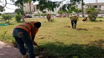 استمرار جهود التجميل وإزالة المخلفات في ميادين الإسماعيلية