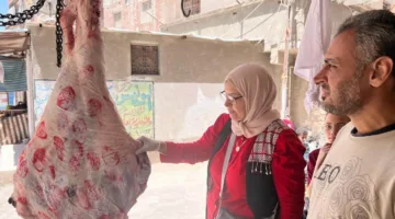 خلال عطلة عيد الأضحى المبارك.. تم ذبح 1184 رأس من الماشية في المسالخ تحت إشراف البيطرة في البحيرة.