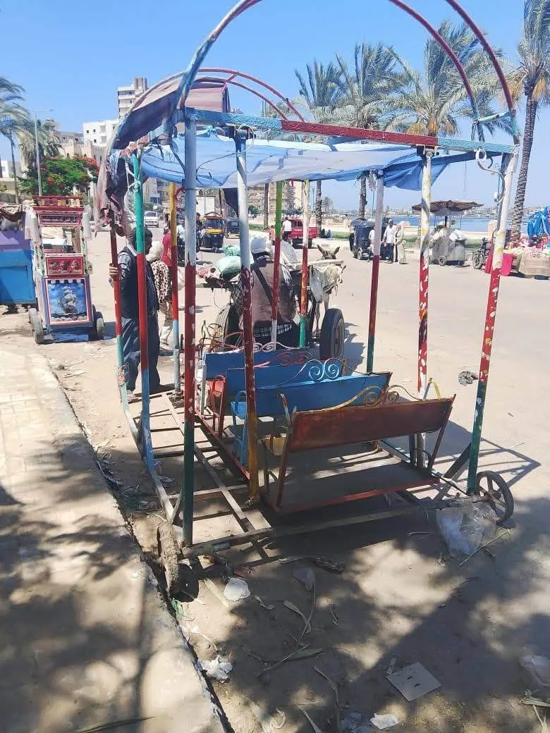 للاحتفال بعيد الأضحى المبارك.. زحف المواطنين نحو تل أبو مندور وحدائق إدفينا في رشيد للاحتفال بعيد الأضحى المبارك.. زحف المواطنين نحو تل أبو مندور وحدائق إدفينا في رشيد