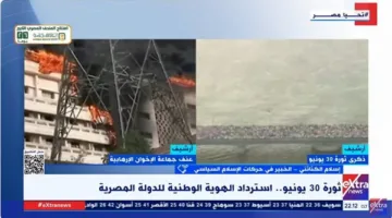 خبير في حركات الإسلام السياسي: 30 يونيو كانت لحظة حاسمة في التاريخ المعاصر لمصر