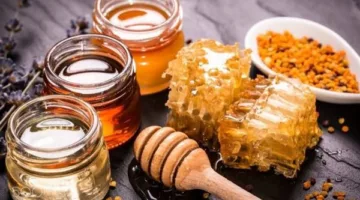 ملعقة ذهبية في الصباح: فوائد رائعة لتناول العسل الأبيض على الريق