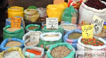 أسعار البقوليات في أسواق الشرقية اليوم الأحد 8 يونيو 2025: الفول البلدي بـ 40 جنيهًا