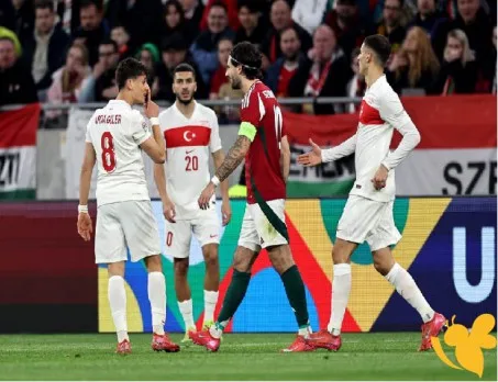 المنتخب التركي يتغلب على الولايات المتحدة في مباراة ودية