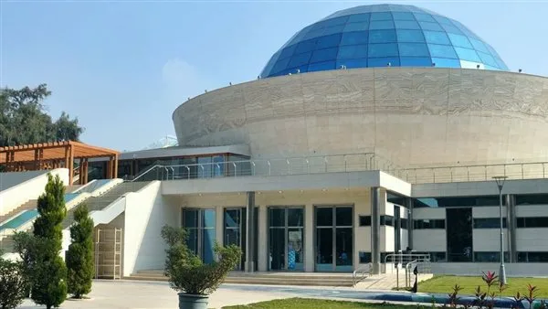 مدير متحف الطفل: نقدم فعاليات عائلية تمزج بين التسلية والمعرفة العلمية مدير متحف الطفل: نقدم فعاليات عائلية تمزج بين التسلية والمعرفة العلمية