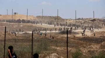 انطلاق قافلة برية من تونس نحو غزة غداً، مروراً بليبيا ومصر