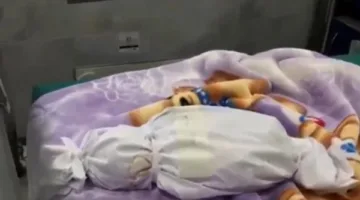اكتشاف جثة طفلة حديثة الولادة داخل كيس سوداء بجوار الشادر القديم في نجع حمادي