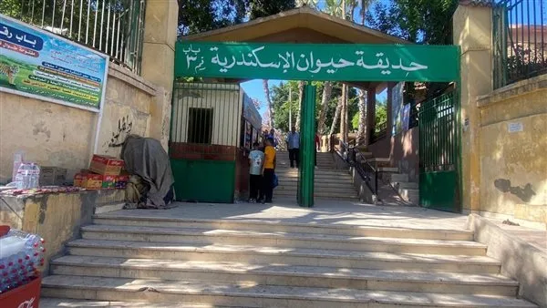 خلال اليومين الأولين من العيد، استقبلت حدائق الحيوان والأسماك في الزمالك أكثر من 38 ألف زائر.