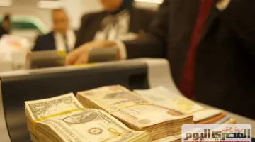 رسميًا.. سعر الدولار مقابل الجنيه اليوم الأحد 8 يونيو 2025 في المصارف