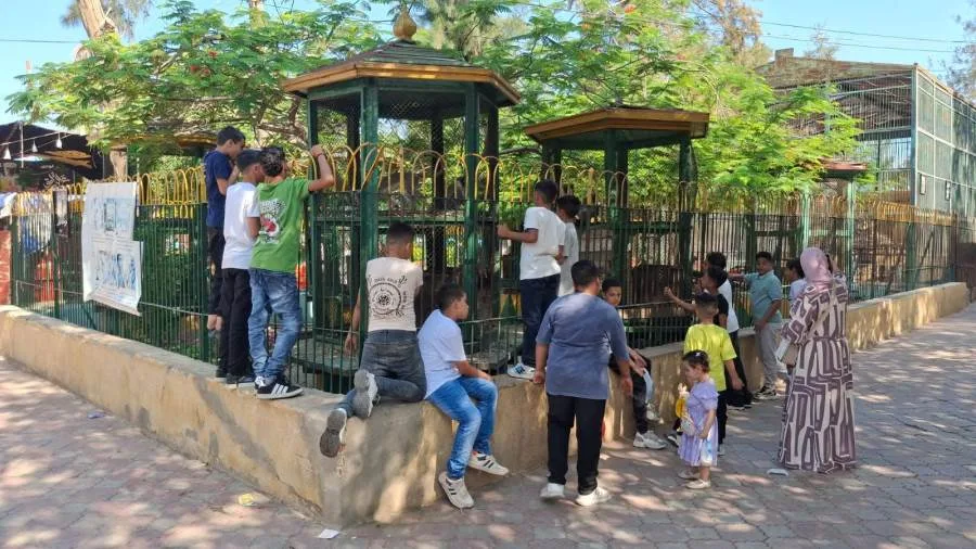 حدائق الحيوان الإقليمية وأحواض السمك في الزمالك استقبلت أكثر من 38 ألف زائر خلال يومي عيد الأضحى الأولين حدائق الحيوان الإقليمية وأحواض السمك في الزمالك استقبلت أكثر من 38 ألف زائر خلال يومي عيد الأضحى الأولين