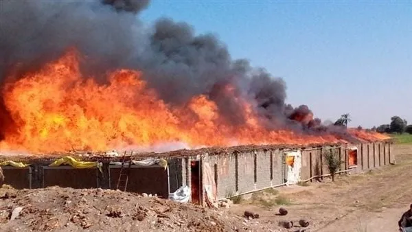 إطفاء حريق دمر مزرعة دواجن في البدرشين