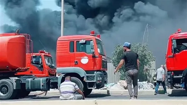 حريق ضخم ي devastates مزرعة دجاج في البدرشين.. وفرق الإطفاء تتمكن من السيطرة عليه حريق ضخم ي devastates مزرعة دجاج في البدرشين.. وفرق الإطفاء تتمكن من السيطرة عليه