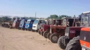 حملة تطوعية لتعبيد الطرق في مركز الداخلة بالوادي الجديد