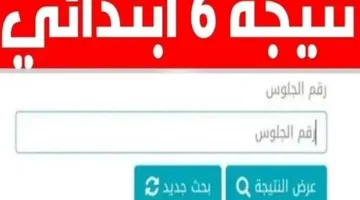نتائج الصف السادس الابتدائي 2025 متوفرة برقم الجلوس والاسم من خلال بوابة التعليم الأساسي.