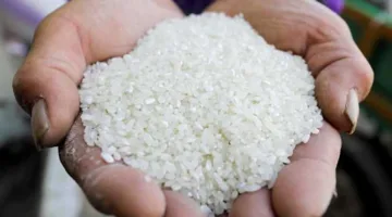 ما هو سعر طن الشعير؟.. أسعار الأرز في الأسواق اليوم الأحد 8 يونيو 2025 وقائمة المنتجات.