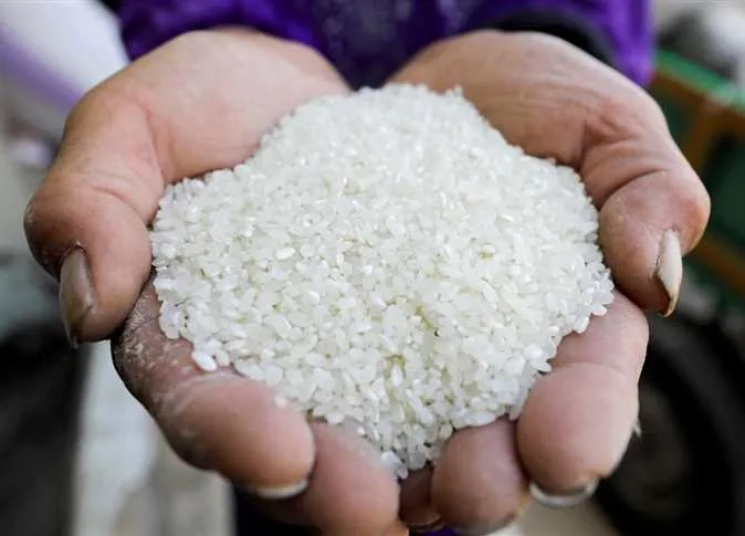 ما هو سعر طن الشعير؟.. أسعار الأرز في الأسواق اليوم الأحد 8 يونيو 2025 وقائمة المنتجات. ما هو سعر طن الشعير؟.. أسعار الأرز في الأسواق اليوم الأحد 8 يونيو 2025 وقائمة المنتجات.
