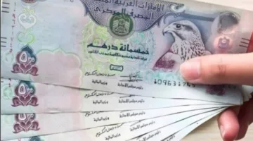 سعر الدرهم الإماراتي اليوم، الأحد 8 يونيو 2025