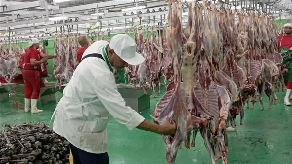 البعثة المصرية للذبح والأضاحي تحصل على رسالة تقدير من الجهات السعودية
