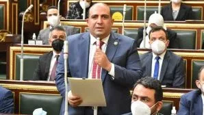 أفريقية النواب: مصر تسعى جاهدة لتحقيق الاستقرار في منطقة البحيرات العظمى.
