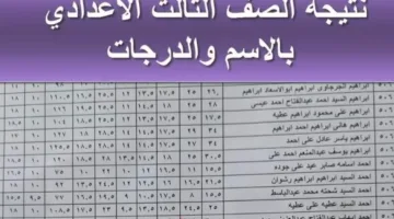 تاريخ صدور نتيجة الصف الثالث الإعدادي في محافظة القاهرة 2025 برقم الجلوس أو الاسم عبر بوابة التعليم الأساسي