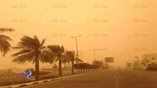 عواصف رملية وغبارية في هذه المناطق اليوم.. تفاصيل من الأرصاد الجوية
