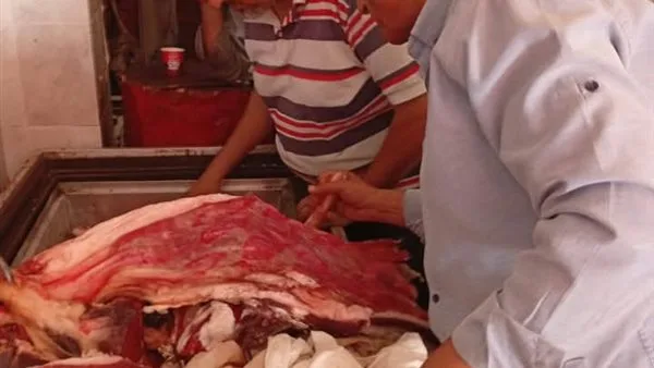 محافظ الدقهلية: confiscation of 1670 kg of meat and chicken not meeting standards محافظ الدقهلية: confiscation of 1670 kg of meat and chicken not meeting standards